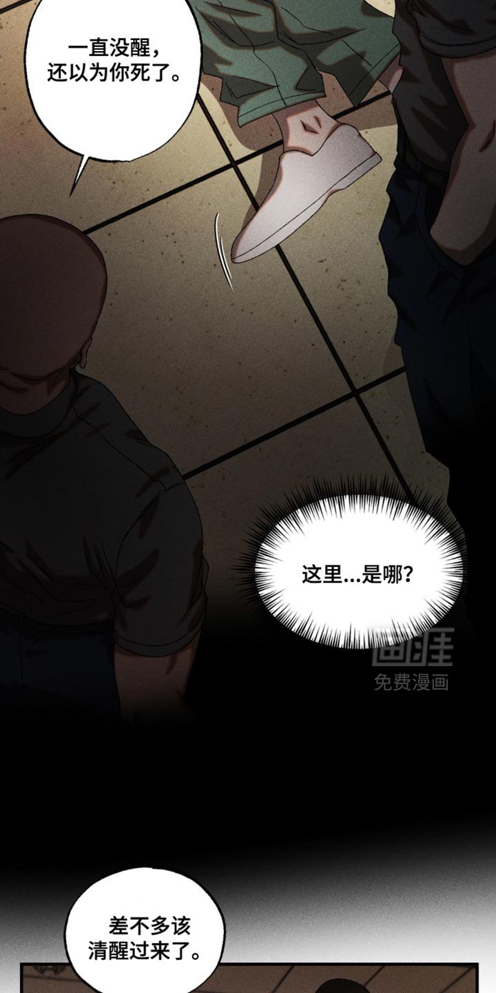 第82章：胆子真大