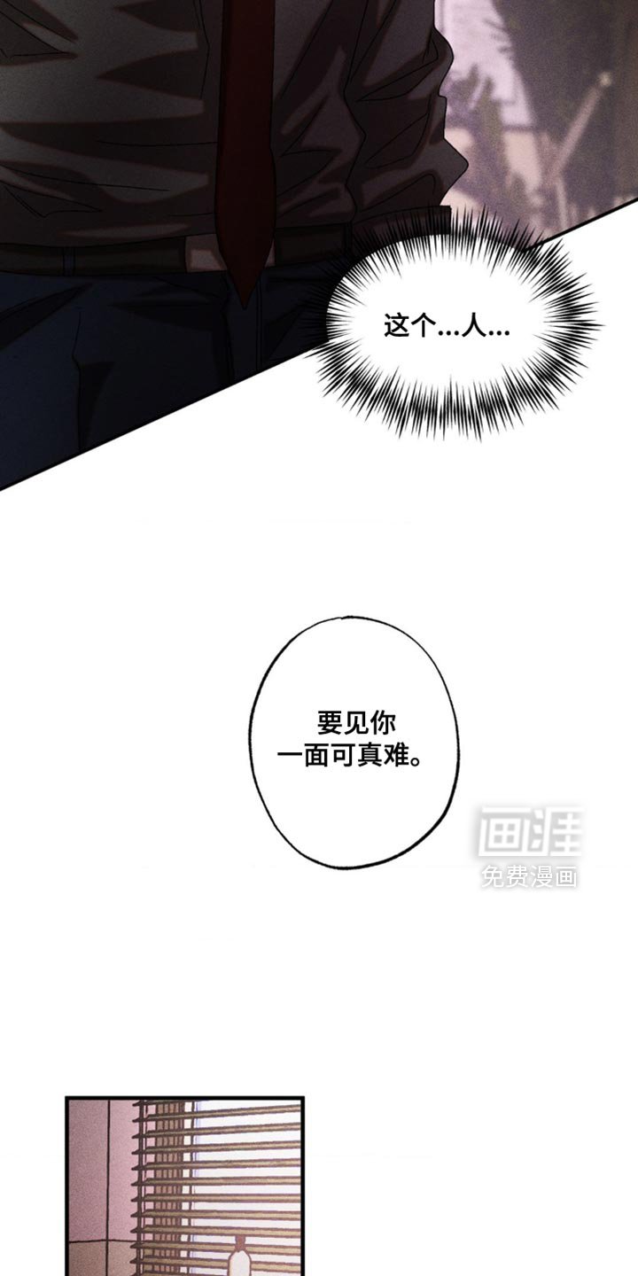 第82章：胆子真大