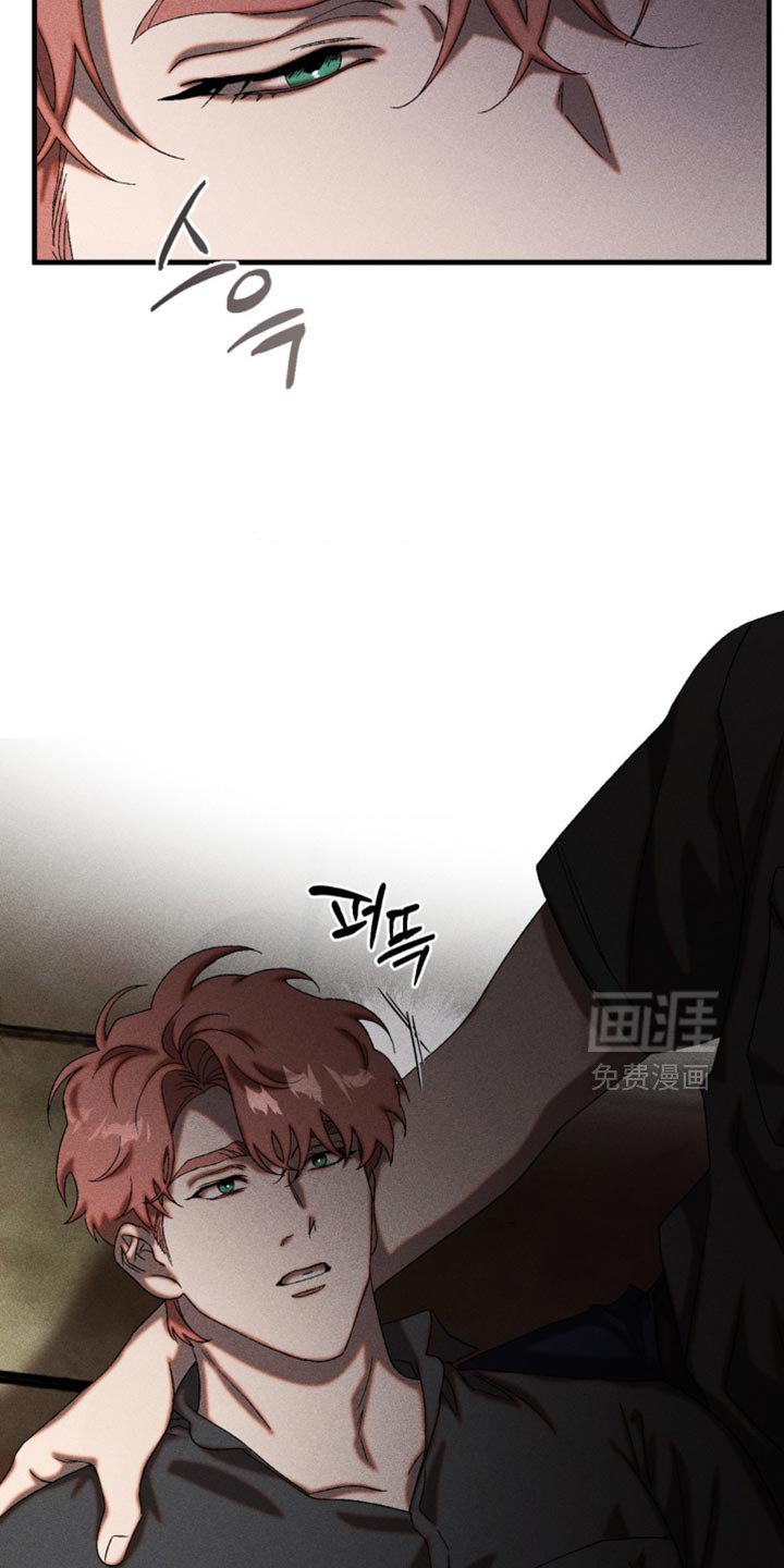 第95章：清醒了吗？