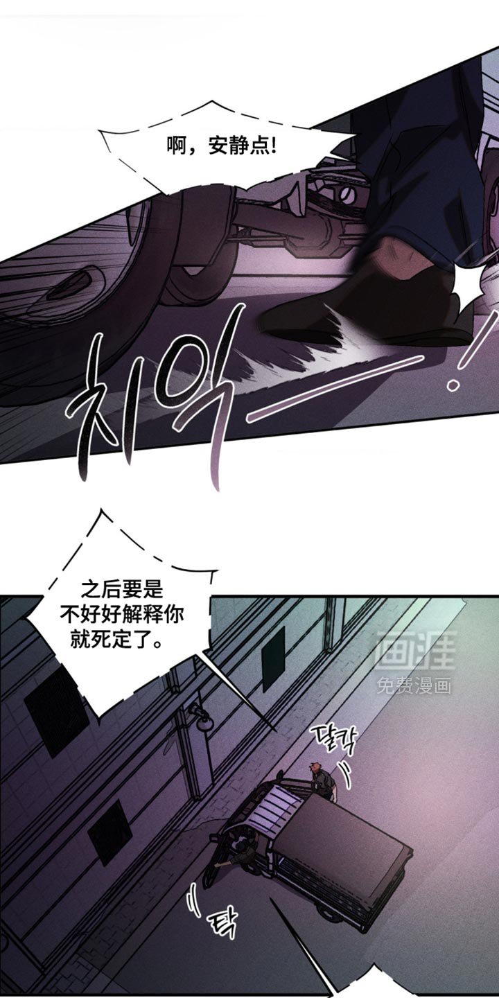 第99章：熟悉的声音