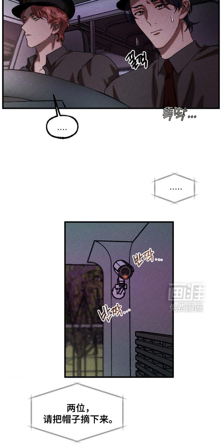 第99章：熟悉的声音