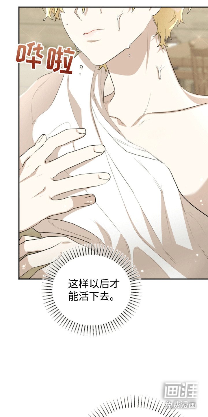 第12章：隐藏身份