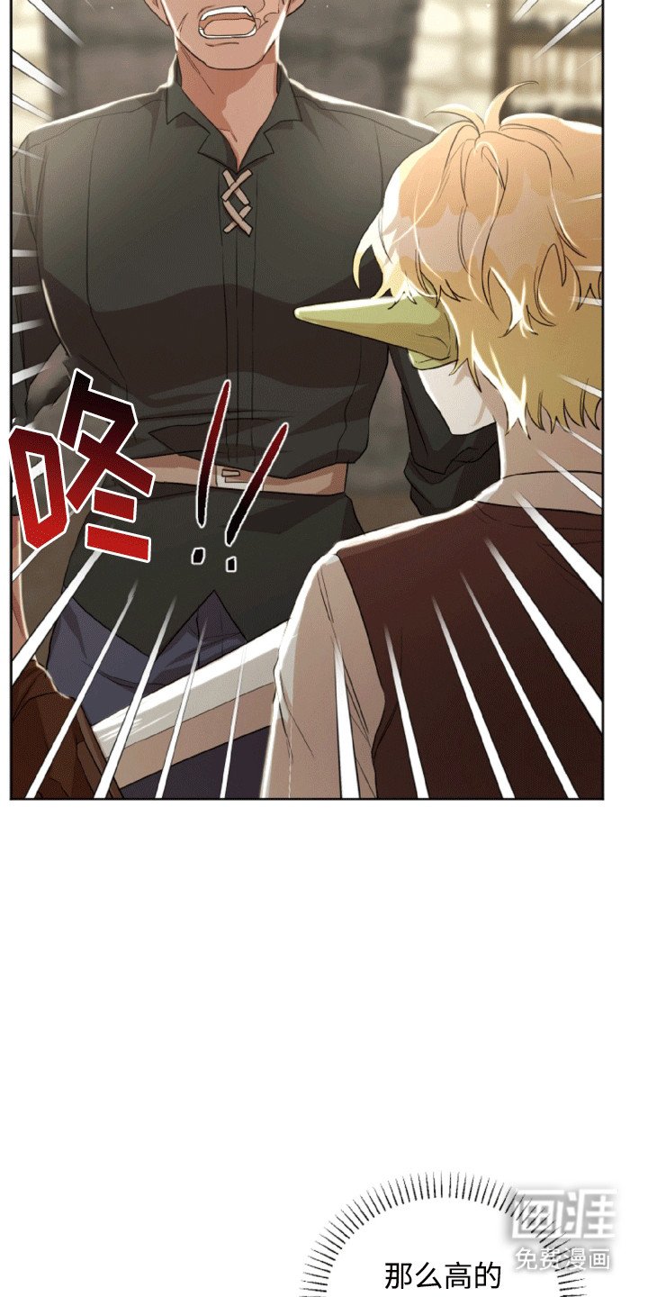第17章：步入正轨