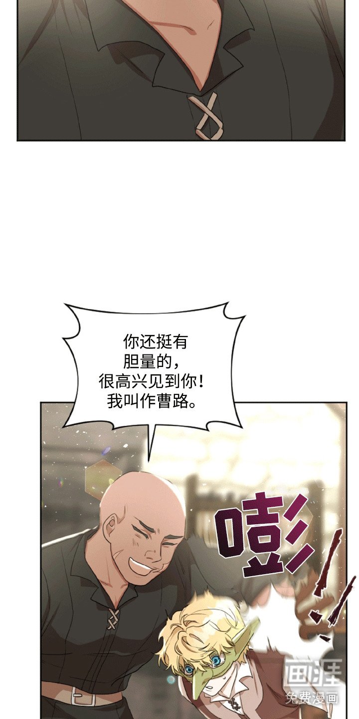 第17章：步入正轨