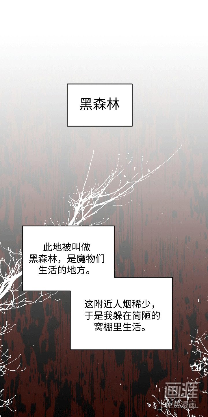 第2章：受伤的人