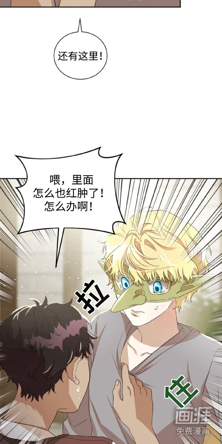 第20章：阳光过敏