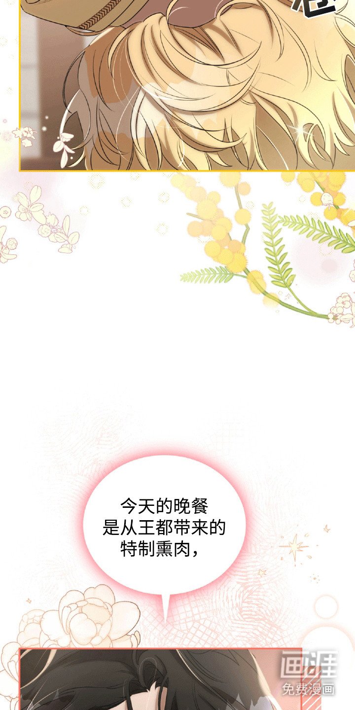 第21章：猫腻