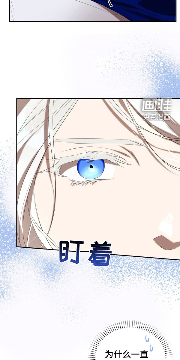 第40章：解梦