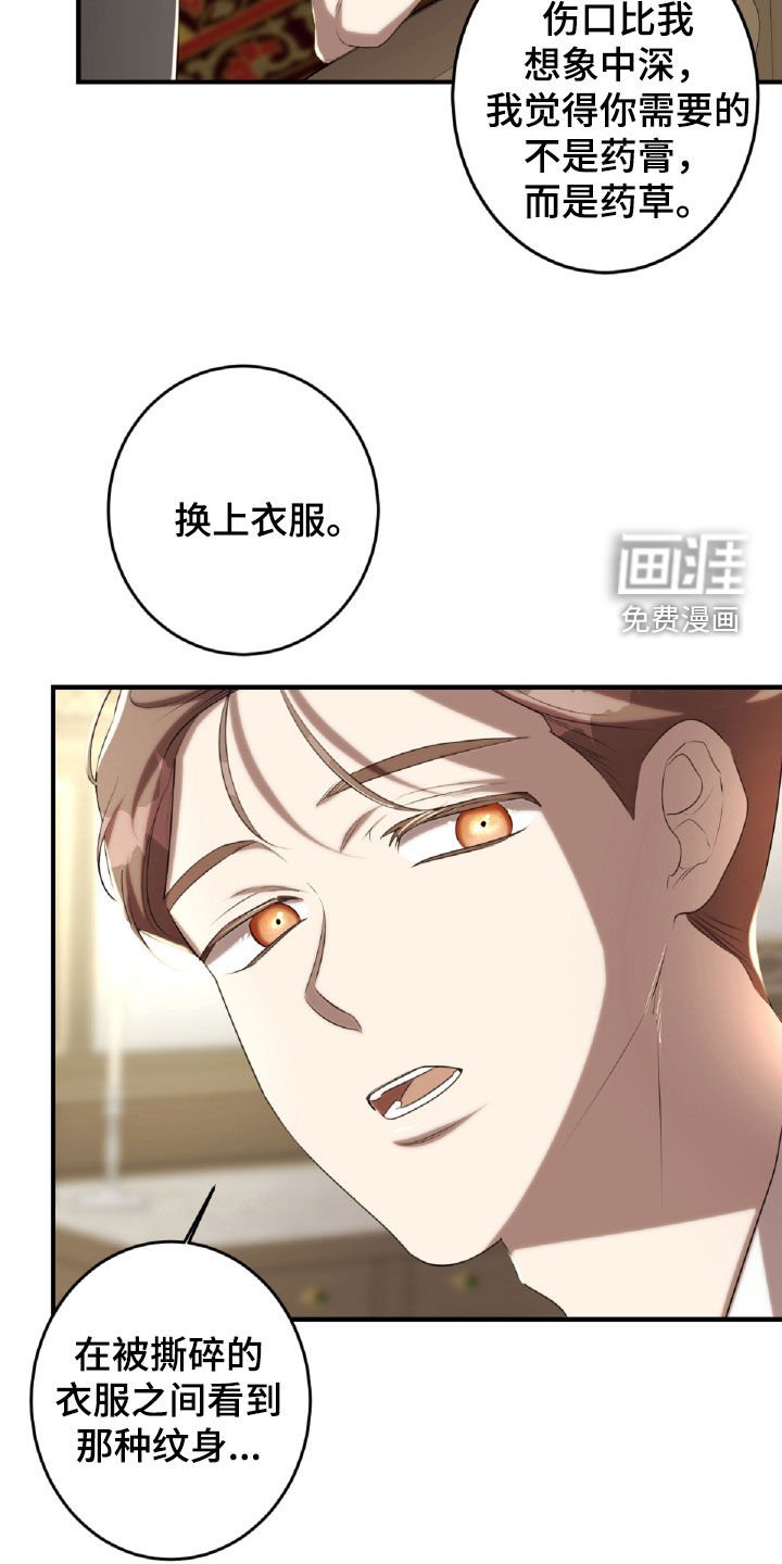 第47章：处理伤口