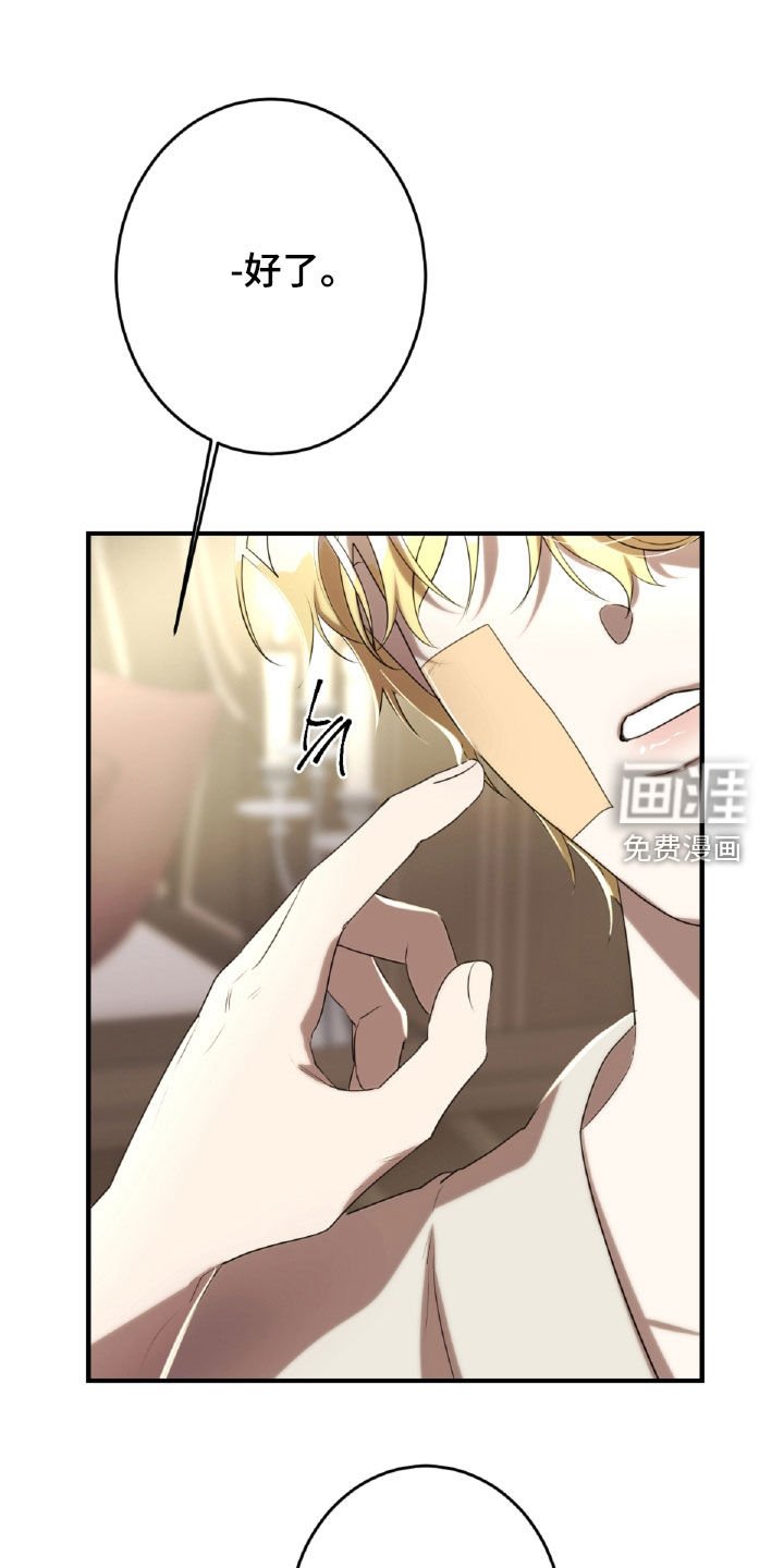 第47章：处理伤口