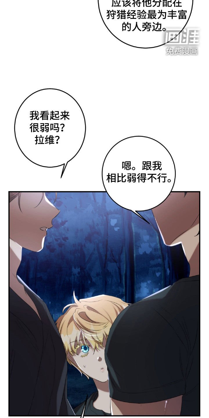 第50章：特别关照