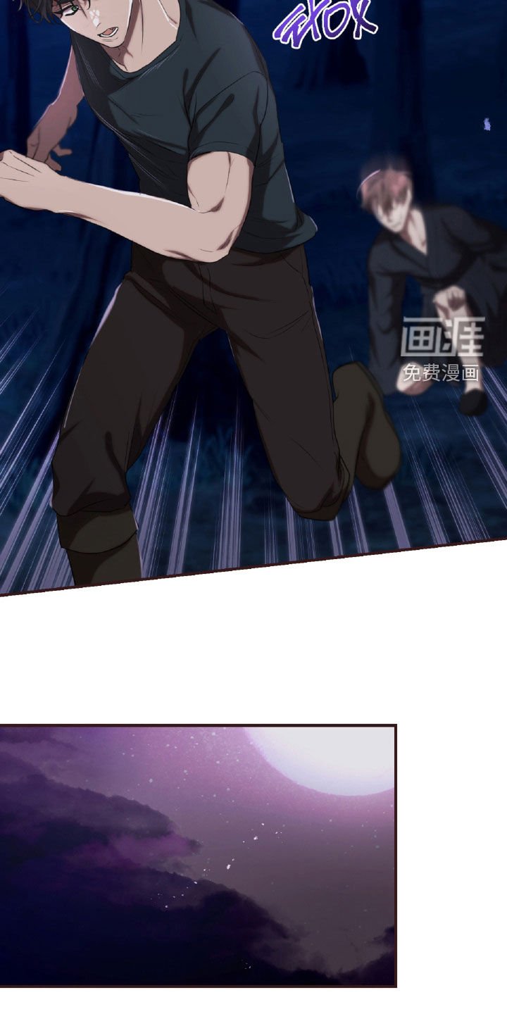 第53章：打斗