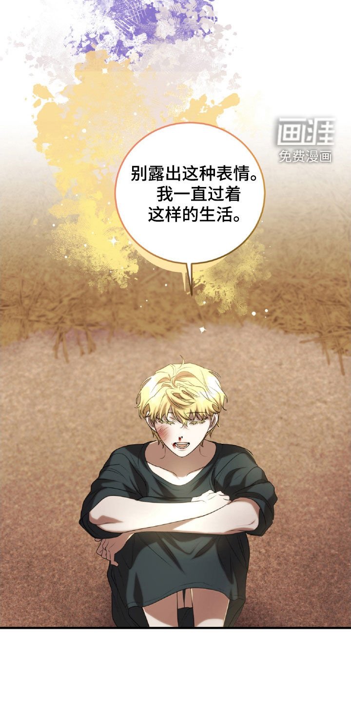 第56章：接受现实