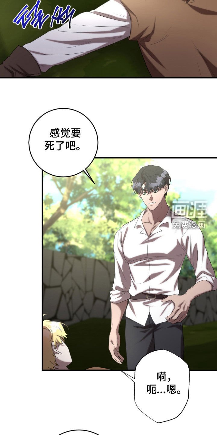 第60章：魔鬼训练