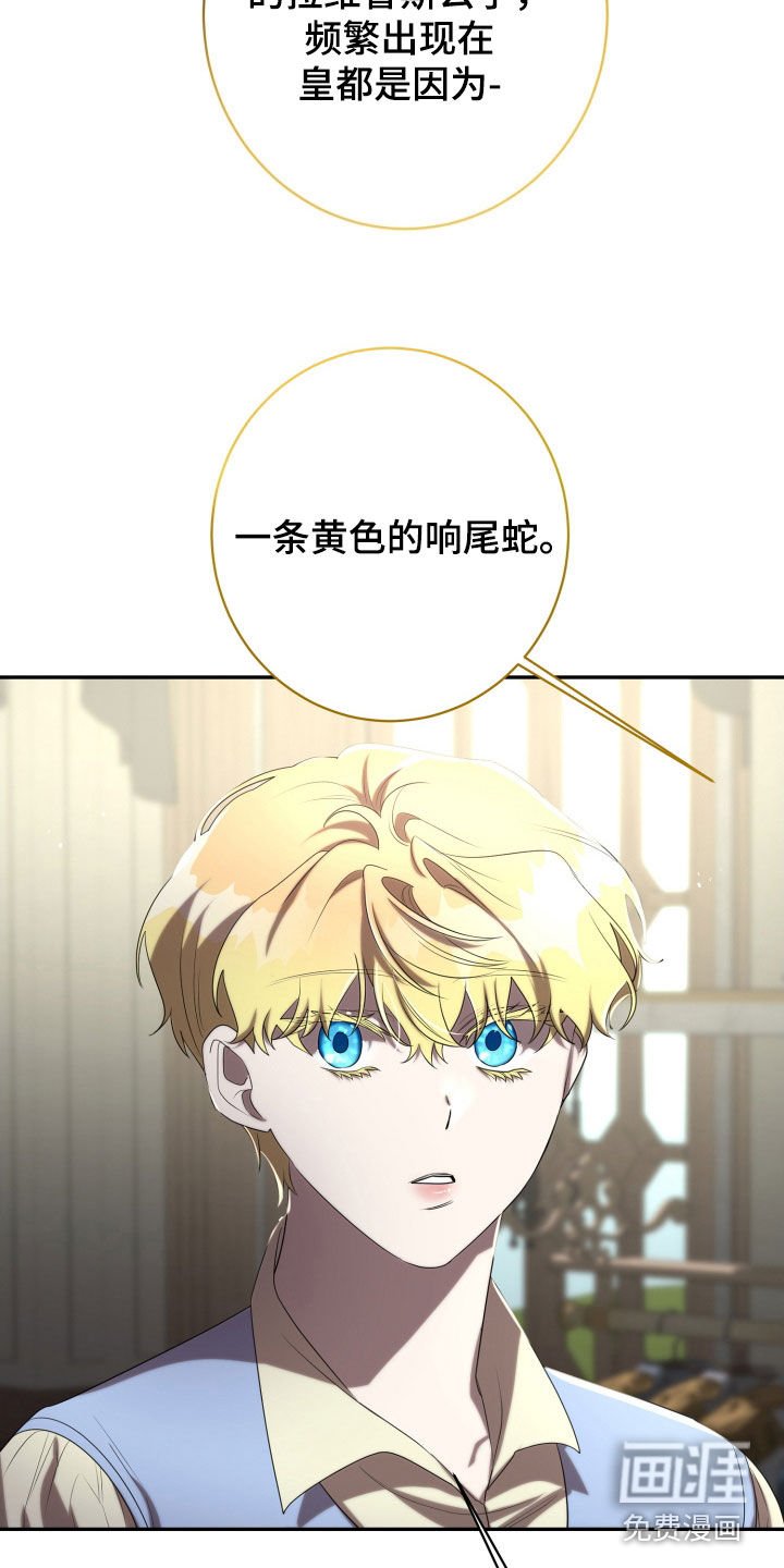 第67章：传言