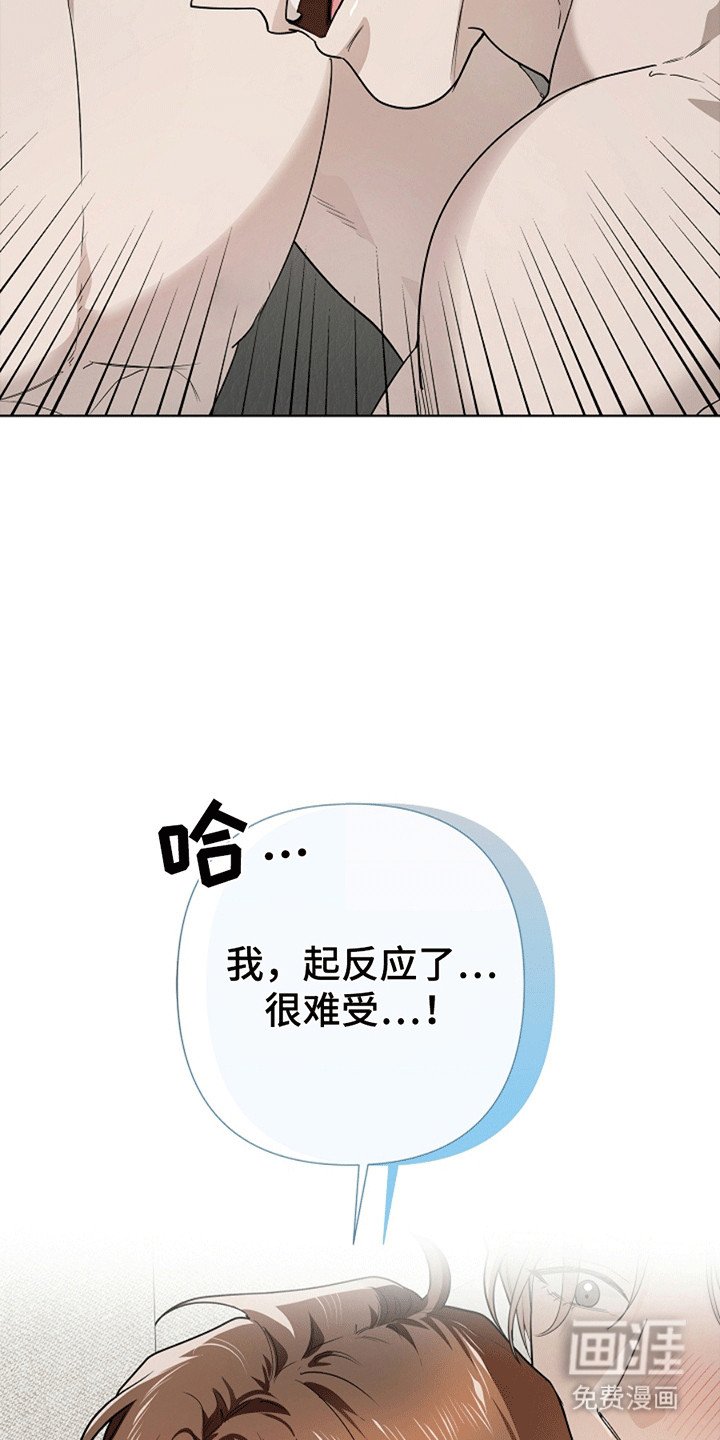 第10章：和平共处（完结）