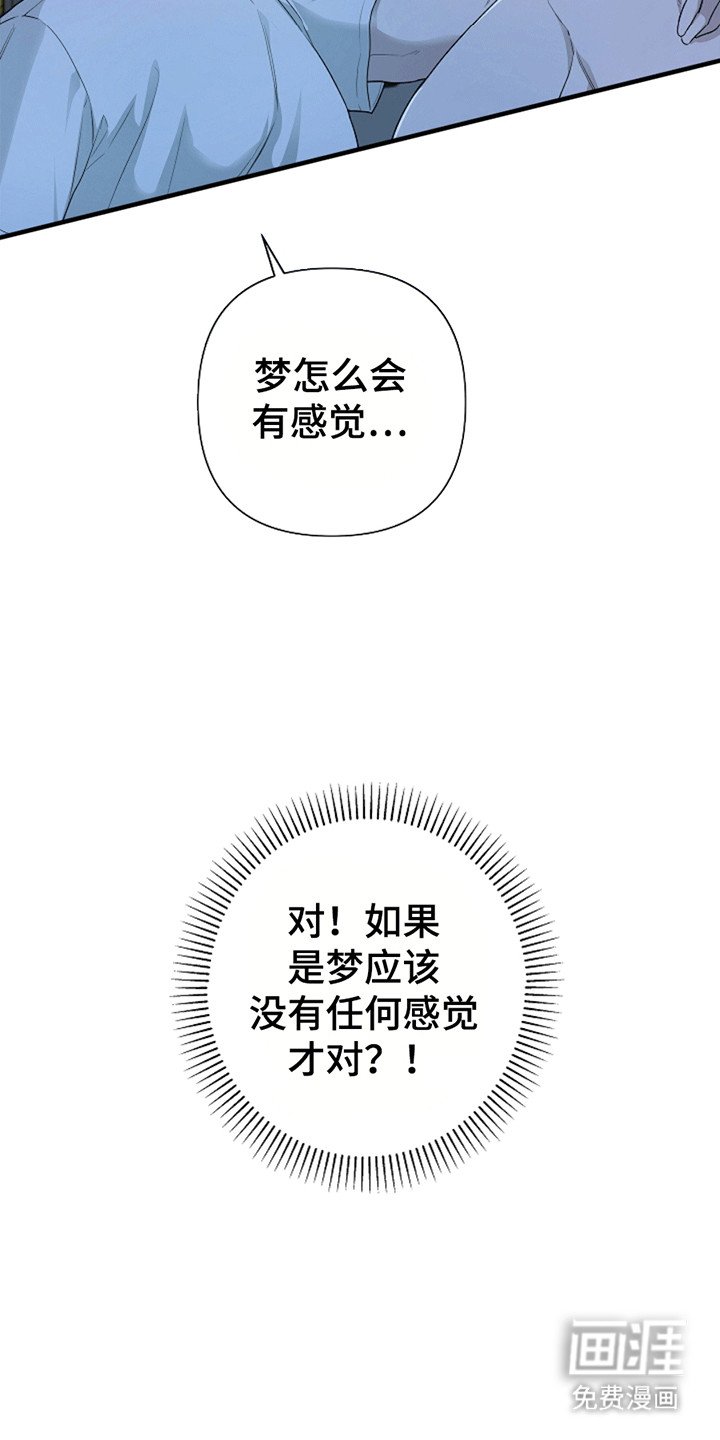 第2章：这不是梦