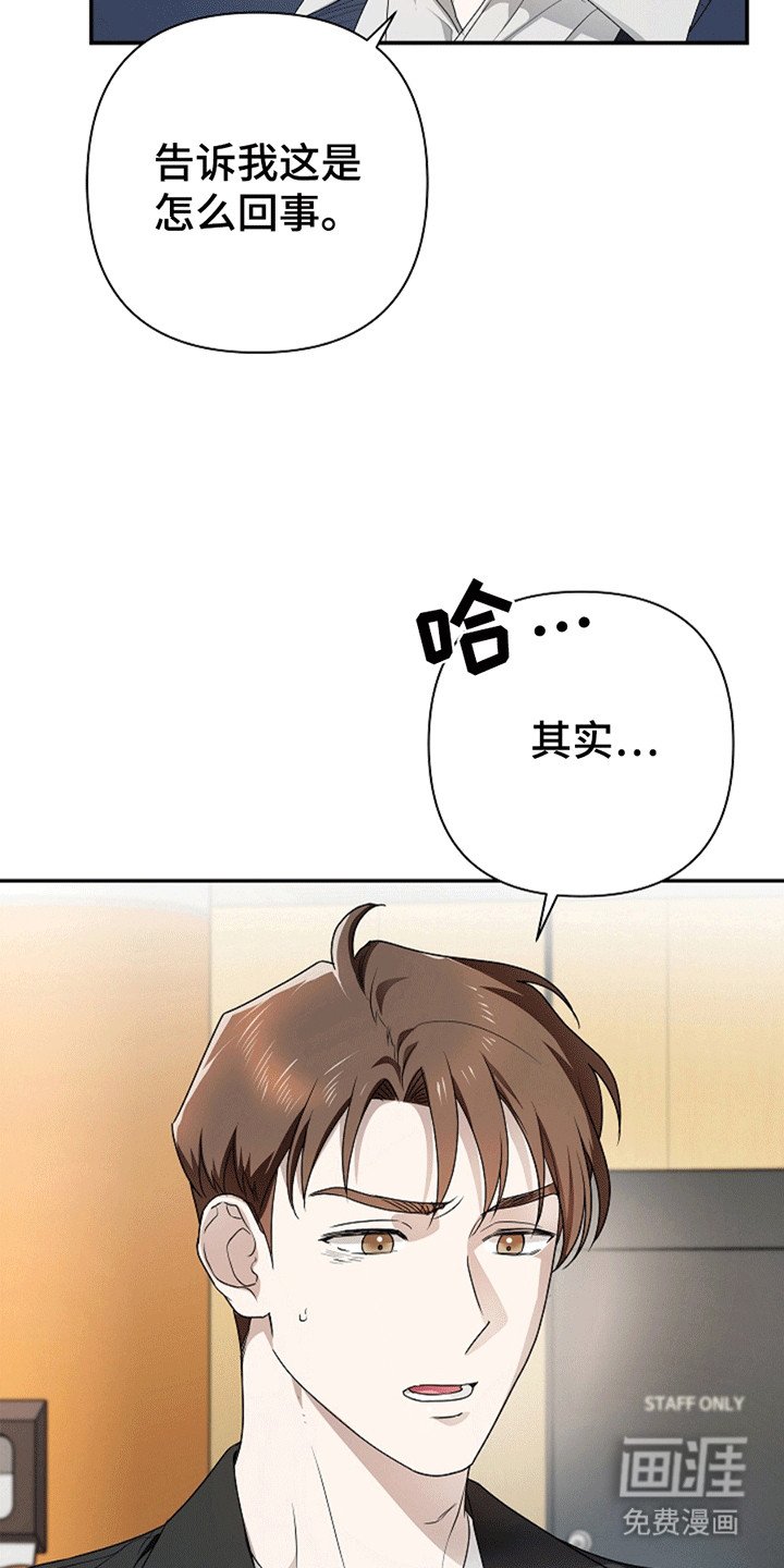 第4章：提议
