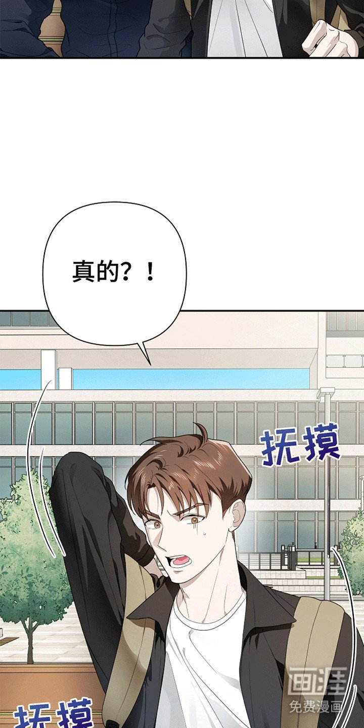 第4章：提议