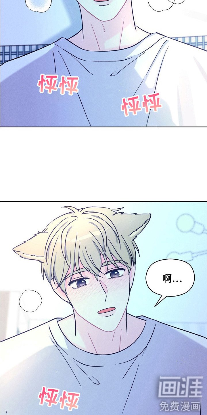第14章：可爱的你（完结）