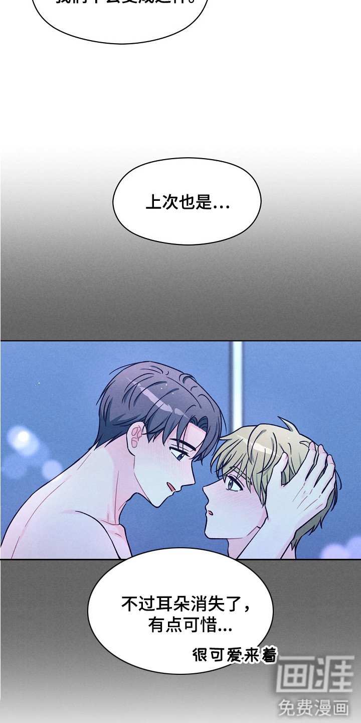 第14章：可爱的你（完结）