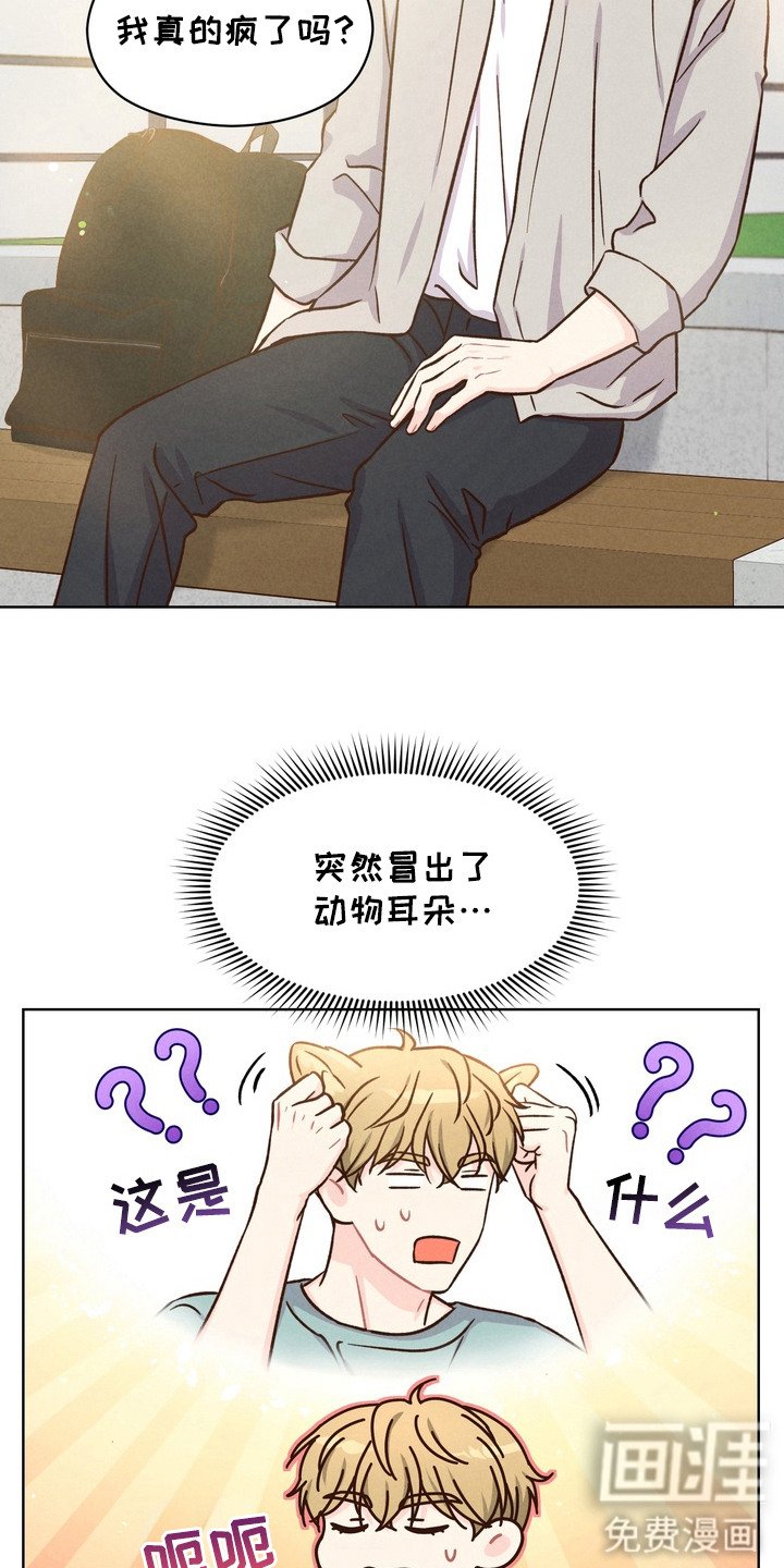 第2章：动物耳朵
