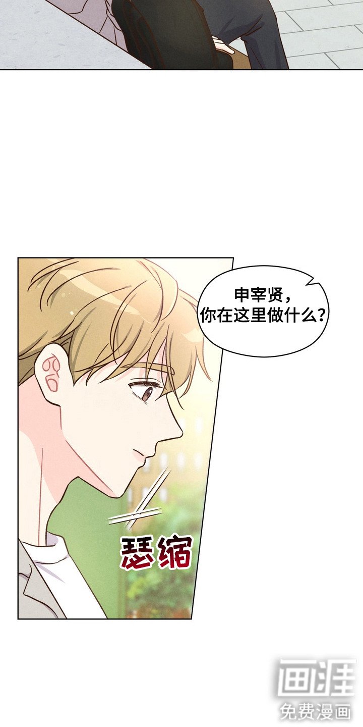 第2章：动物耳朵