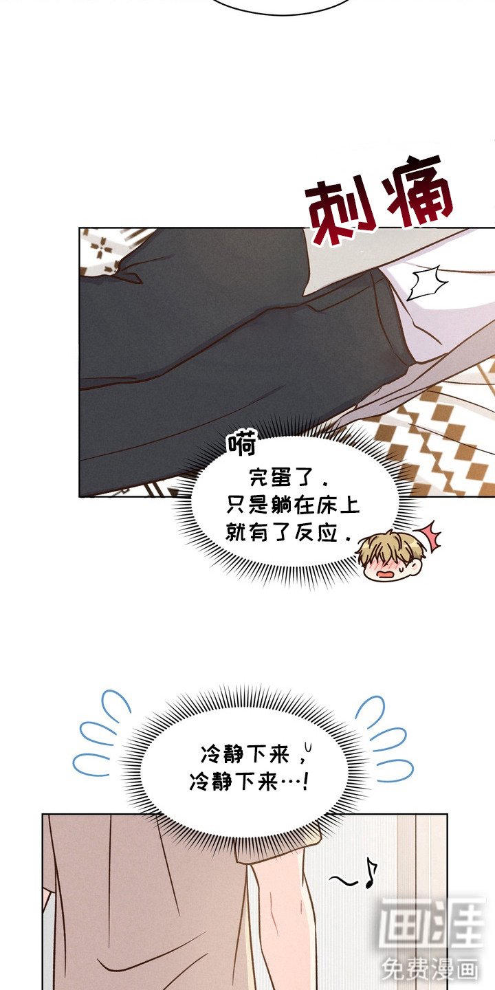 第2章：动物耳朵