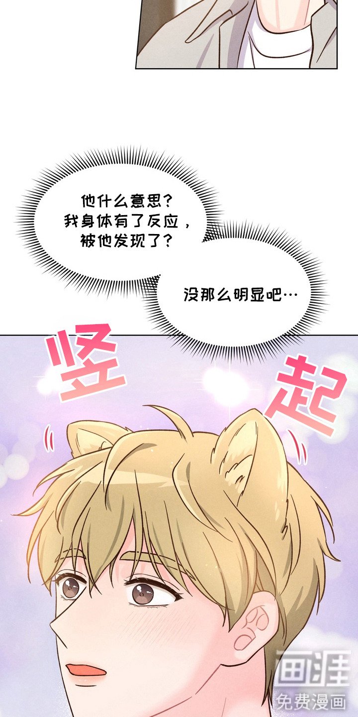 第2章：动物耳朵