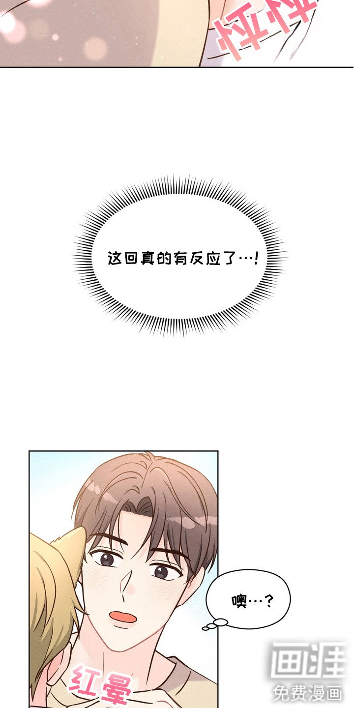 第3章：不排斥