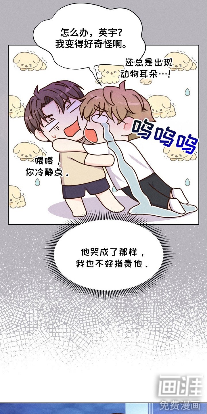 第4章：搜集情报