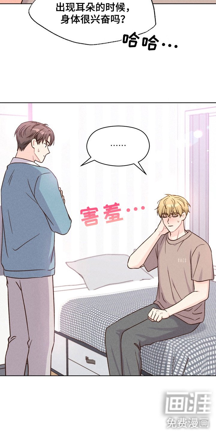 第5章：再试一次