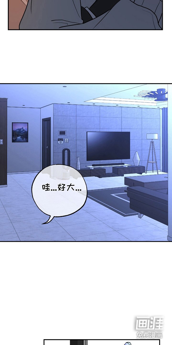 第3章：命运