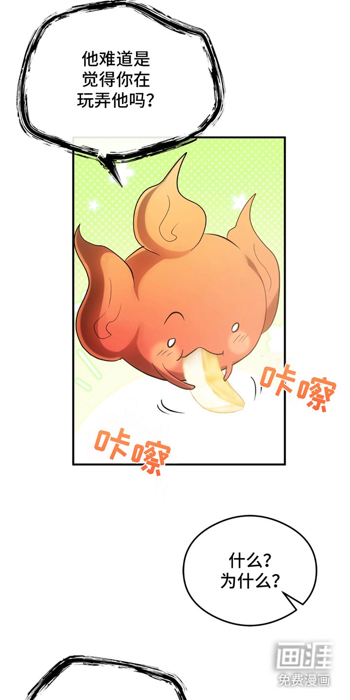 第20章：大师
