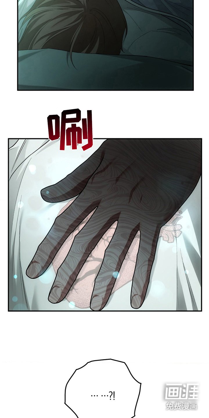 第3章：神秘黑影