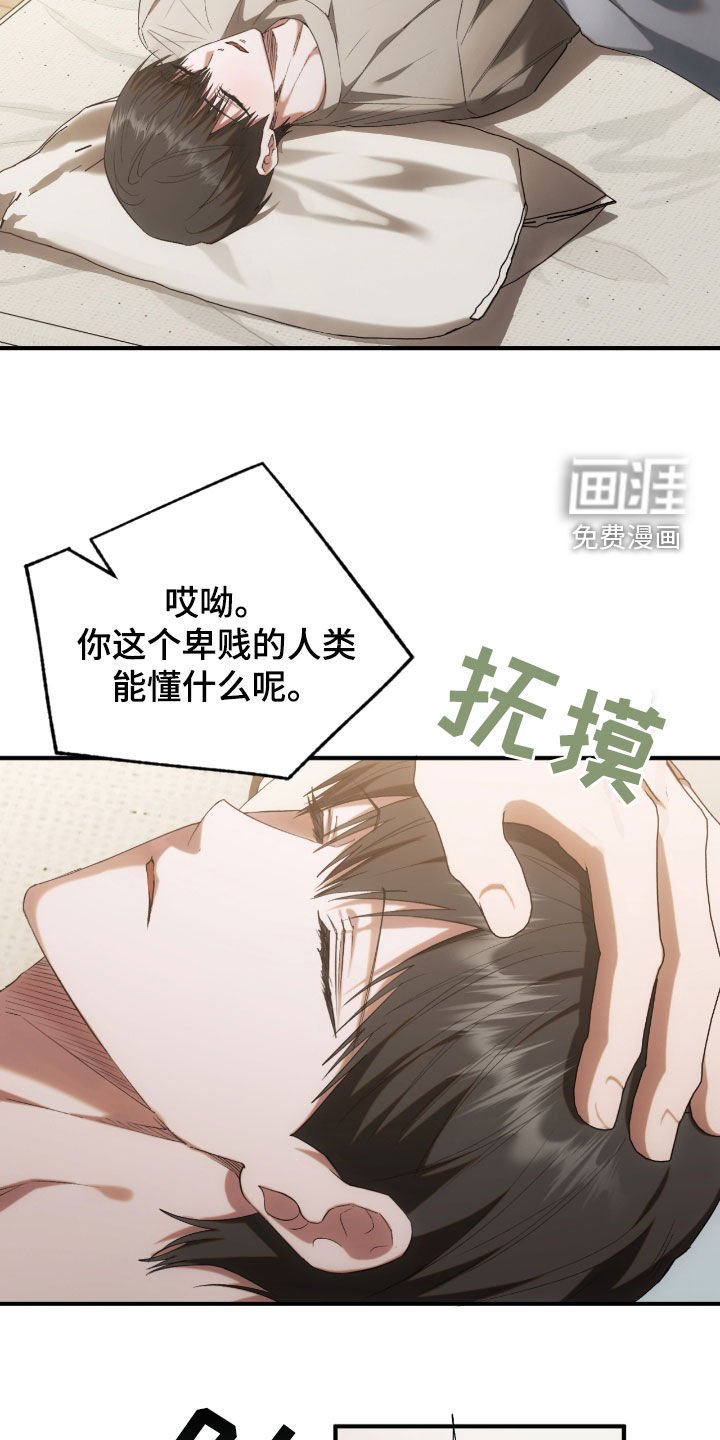 第37章：幸与不幸