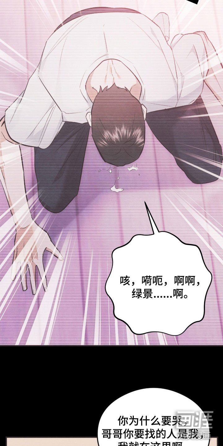 第42章：不要道歉