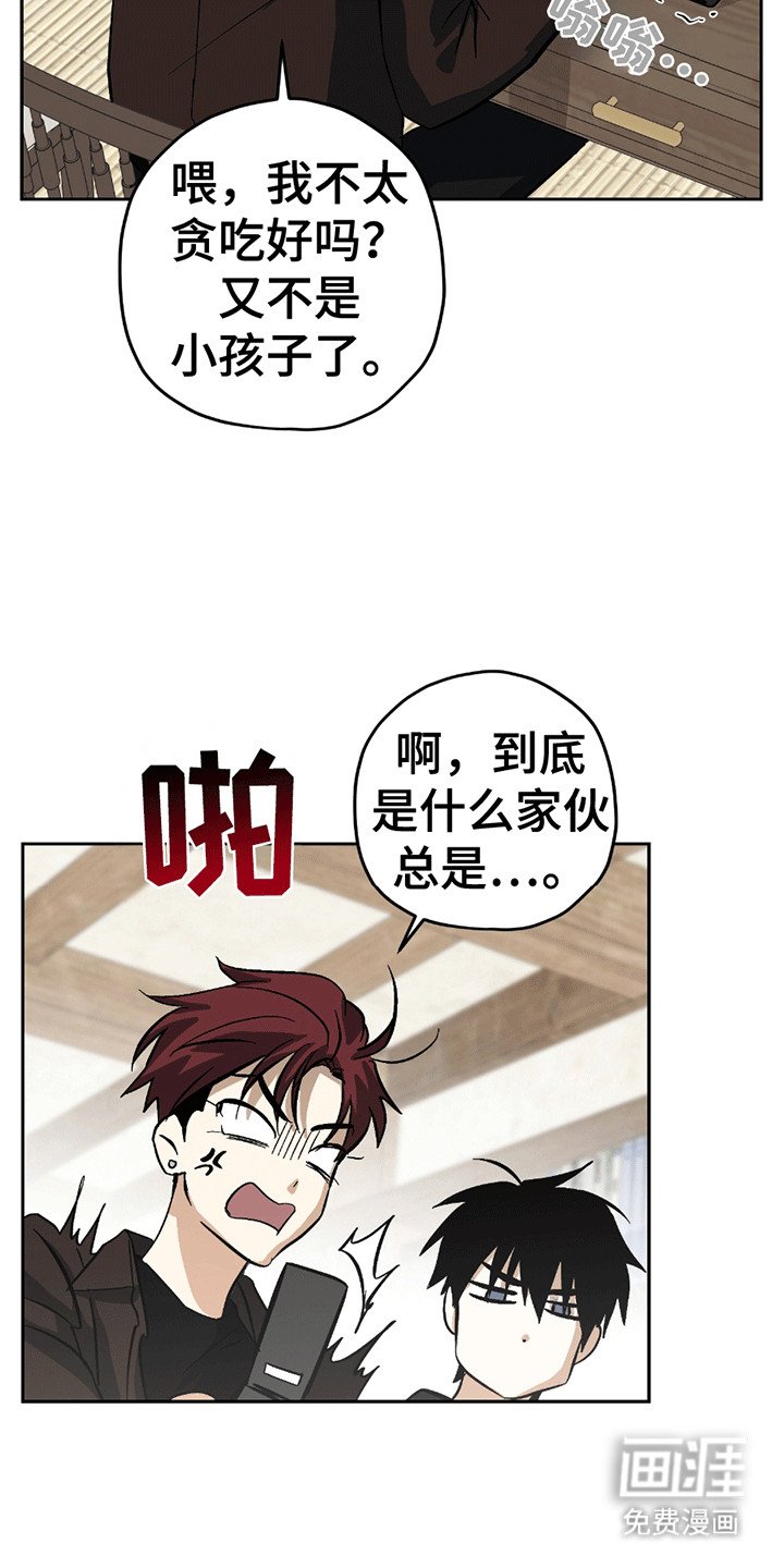 第12章：学习