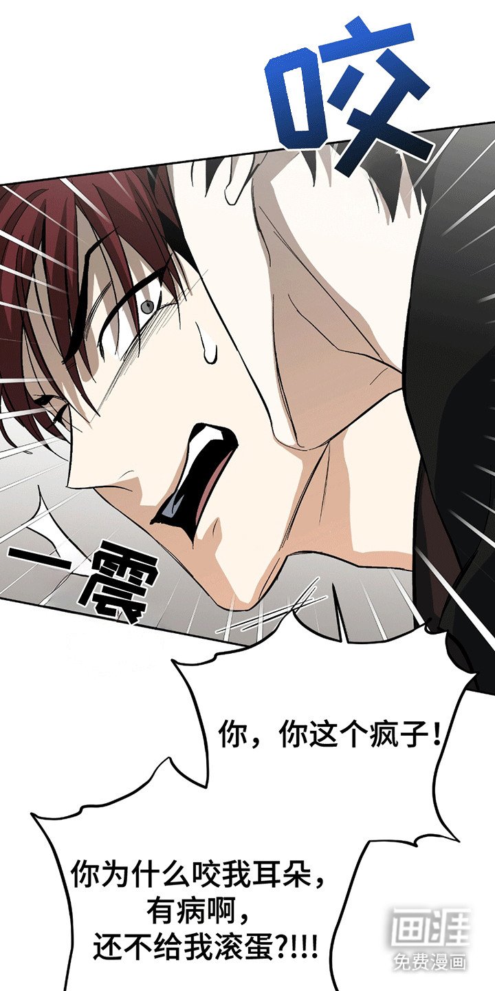 第12章：学习
