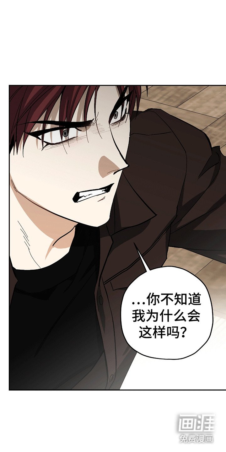 第13章：被赶