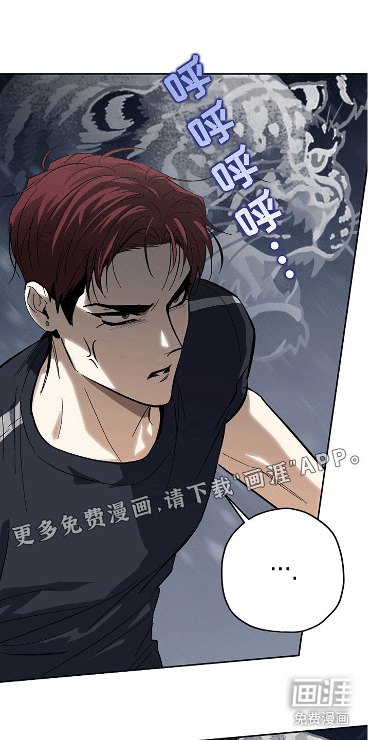第14章：打架
