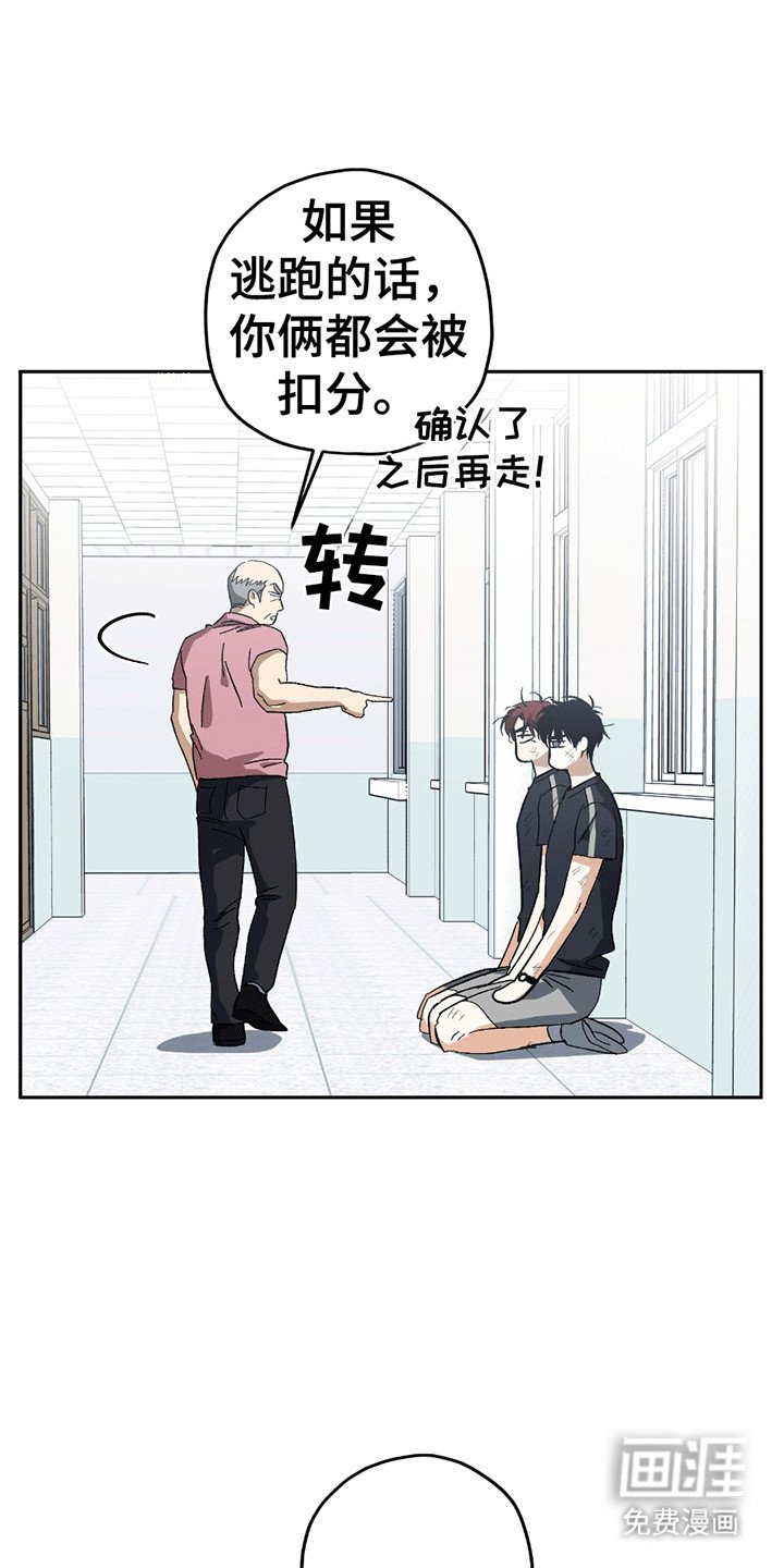 第14章：打架