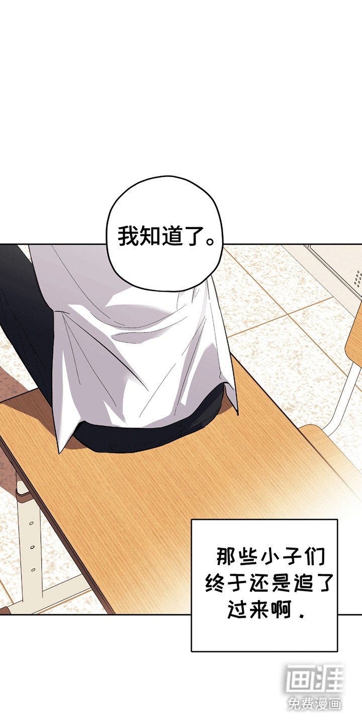 第14章：打架