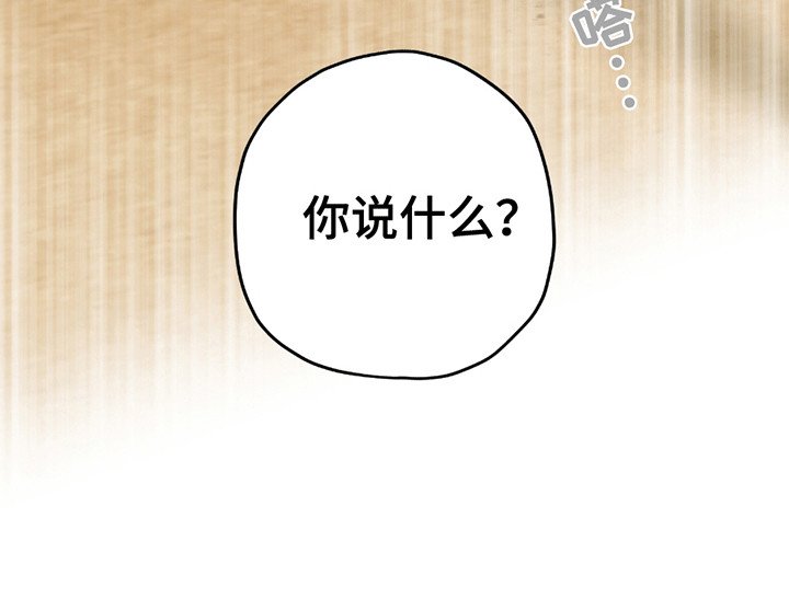 第14章：打架