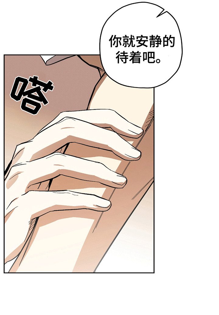 第16章：外援