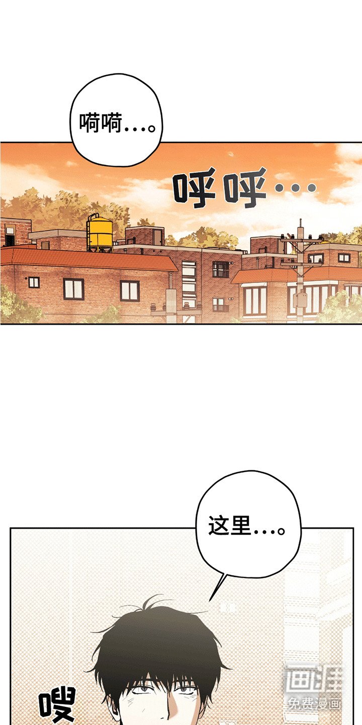 第17章：难言之隐