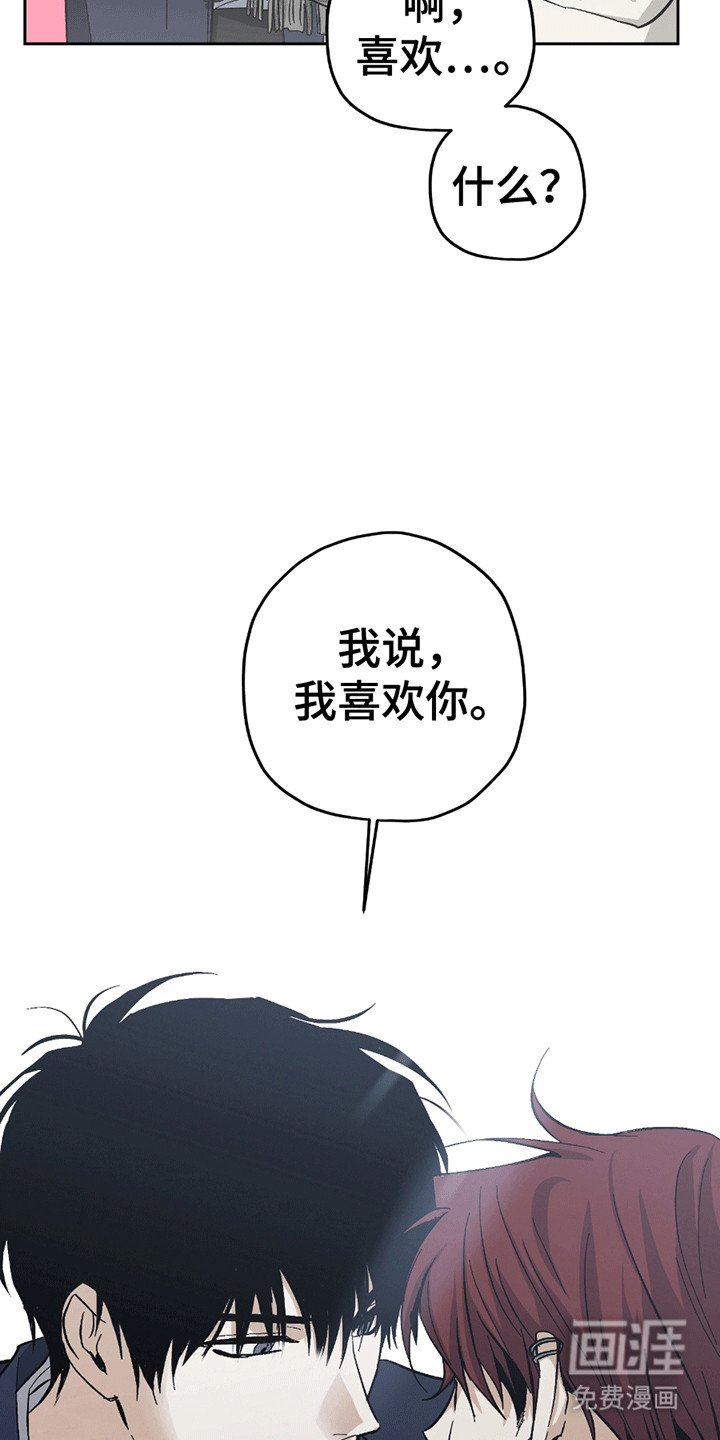 第21章：喜欢你（完结）