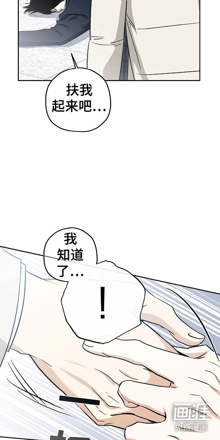 第21章：喜欢你（完结）