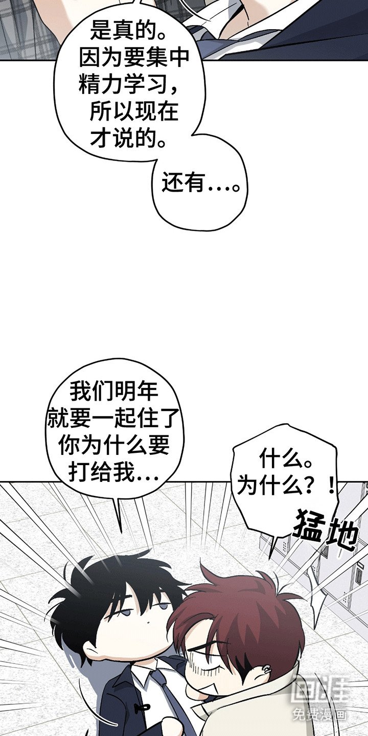 第21章：喜欢你（完结）