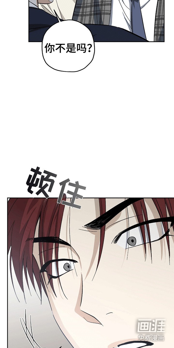 第21章：喜欢你（完结）